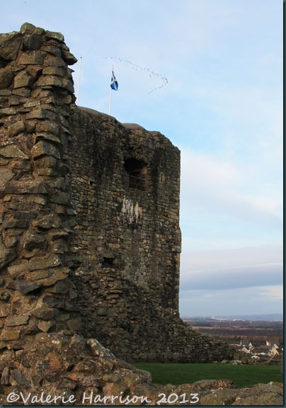 5 geese-over-dundonald