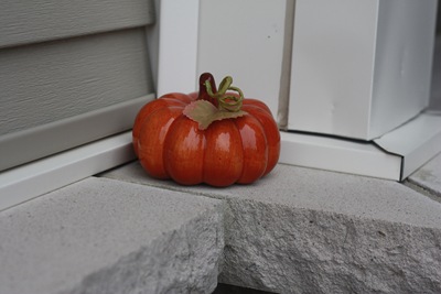 [IMG_7783%255B2%255D.jpg]