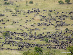 Masai Mara