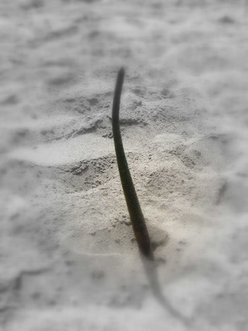 [2010_1018playa0011%255B3%255D.jpg]