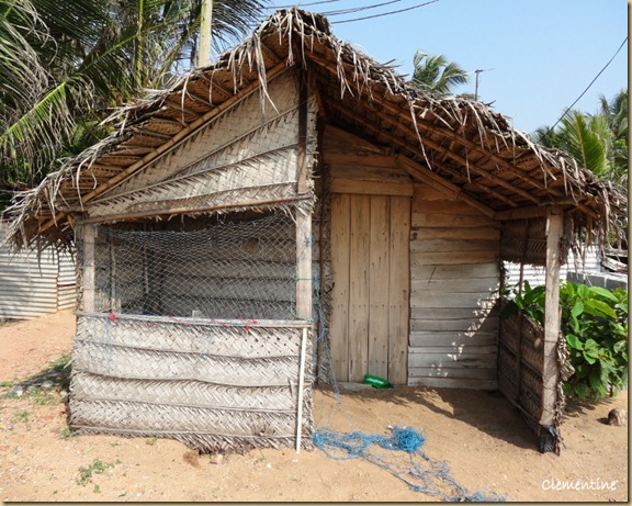 Maison en feuilles de palmier Sri Lanka Maison en feuilles de palmier Sri Lanka
