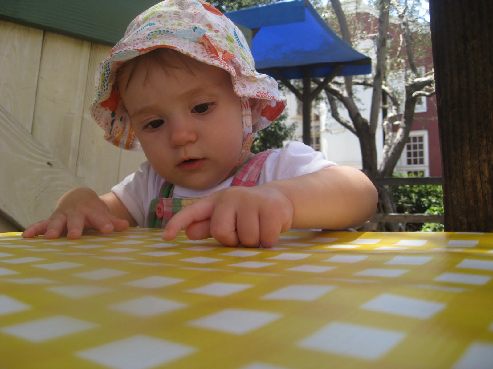 [IMG_3473%255B1%255D.jpg]