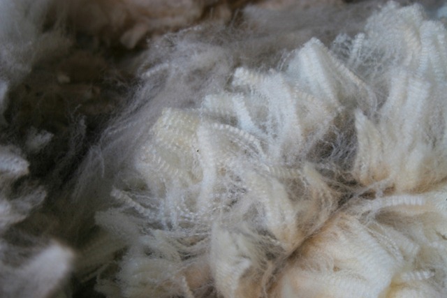 [wool%255B4%255D.jpg]