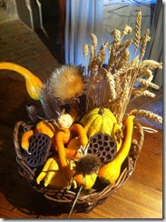 IMG_2535 IMG_2535