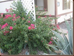 IMG_4092 IMG_4092