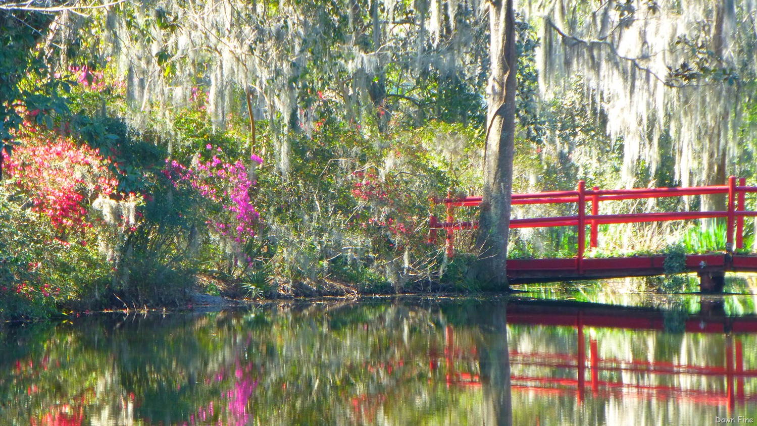 [Magnolia%2520Plantation_054%255B4%255D.jpg]