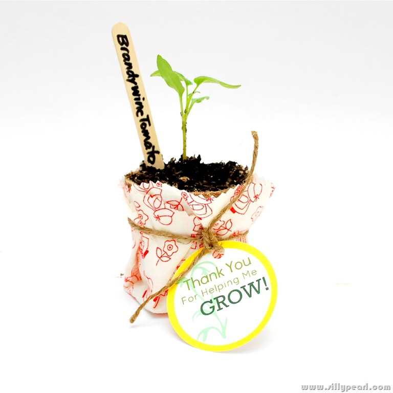 [Thank%2520You%2520For%2520Helping%2520Me%2520Grow%2520Free%2520Printable%2520Seedling%2520Teacher%2520Gift%2520Tag%2520by%2520The%2520Silly%2520Pearl%255B7%255D.jpg]