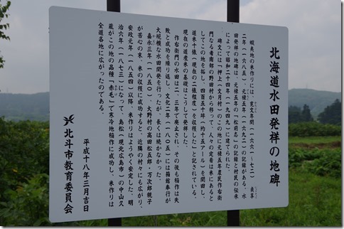 IMGP6565 IMGP6565