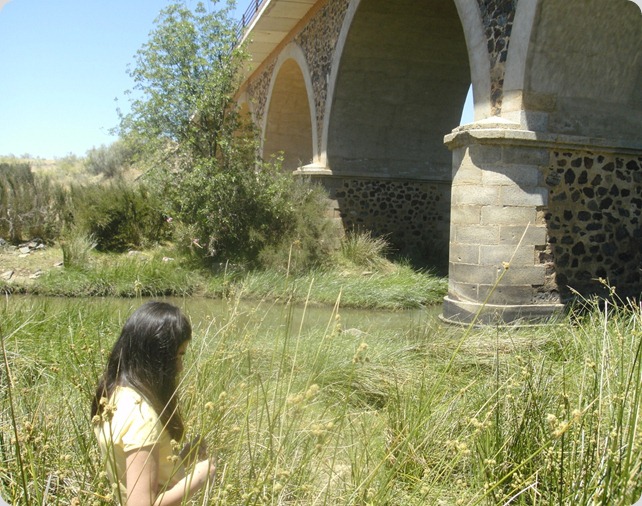 BILD0135 BILD0135