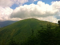 IMG_1316.jpg Photo IMG_1316.jpg Photo
