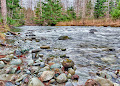 Mid-winter Dungeness River