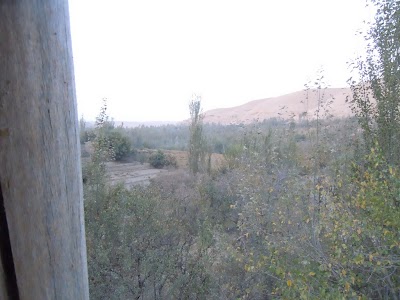 DSCN4208.jpg