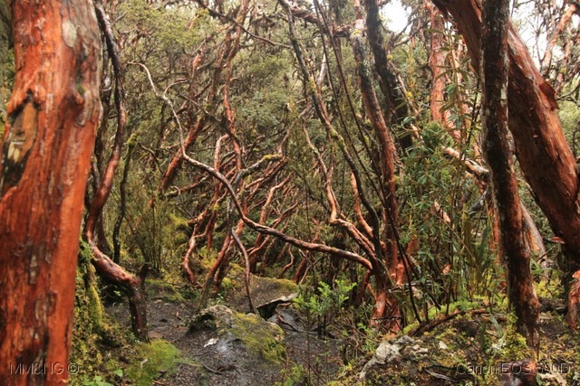 [IMG_3504%255B4%255D.jpg]