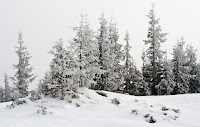 IMG_5835.jpg Photo
