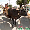 DesfiledeCarrosdeBois2011-041.jpg