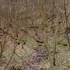 singold-bote_waldlehrpfad-schwabegg_020.jpg