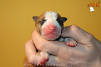 Boy 3 - day 1