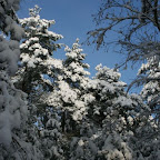 3-1-2010-046.jpg