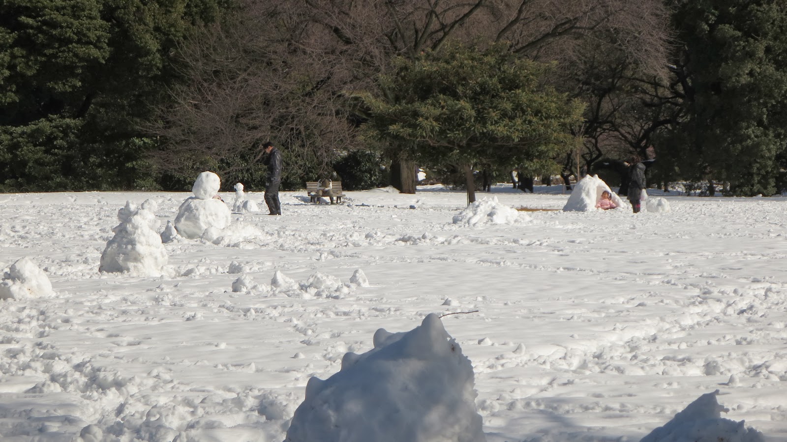 [IMG_0349%255B3%255D.jpg]