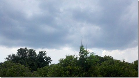 2011-06-18_15-59-07_786 2011-06-18_15-59-07_786