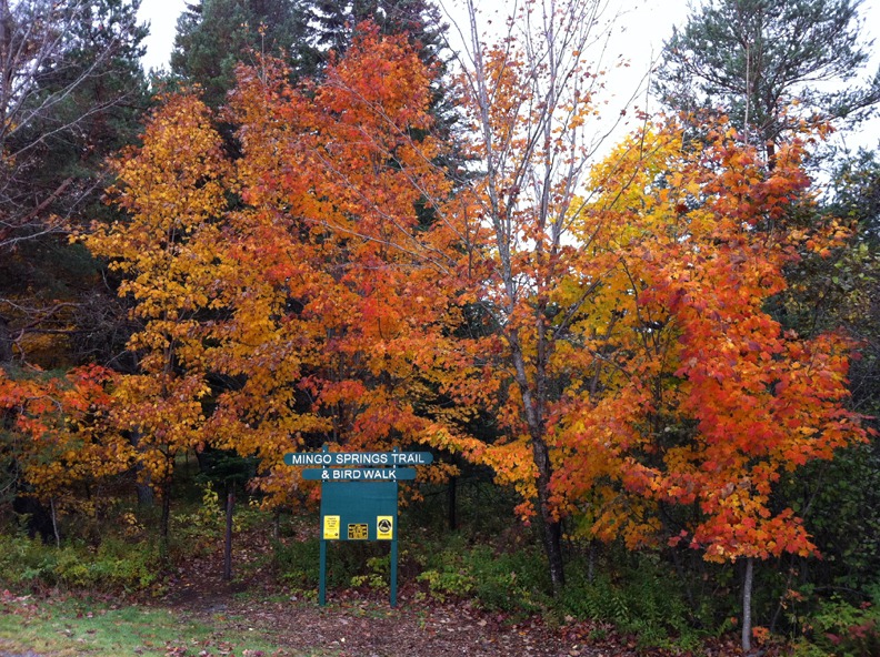 [Maine_Oct2011%2520148%255B4%255D.jpg]