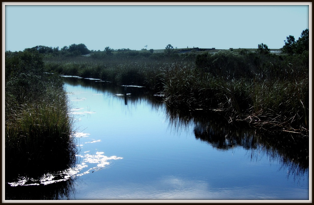 [IMG_4142-marsh%255B7%255D.jpg]