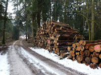 Langholz Photo