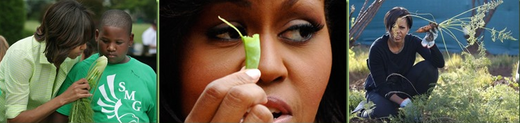 [Screenshot-Studio-capture-18227.png]