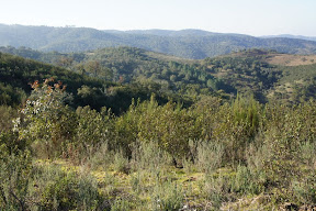 DSC06407.JPG