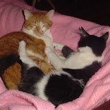 Charlie and Tink.