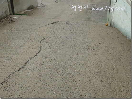 철천지DSC05236-20120410-144428 철천지DSC05236-20120410-144428