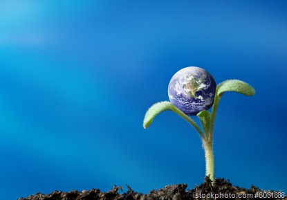 [iStock_000006081888XSmall%255B7%255D.jpg]