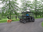 Carlos will drive slowly as you trot along.
