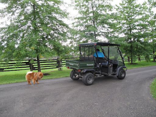 Carlos will drive slowly as you trot along.