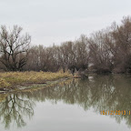 IMG_1548.JPG
