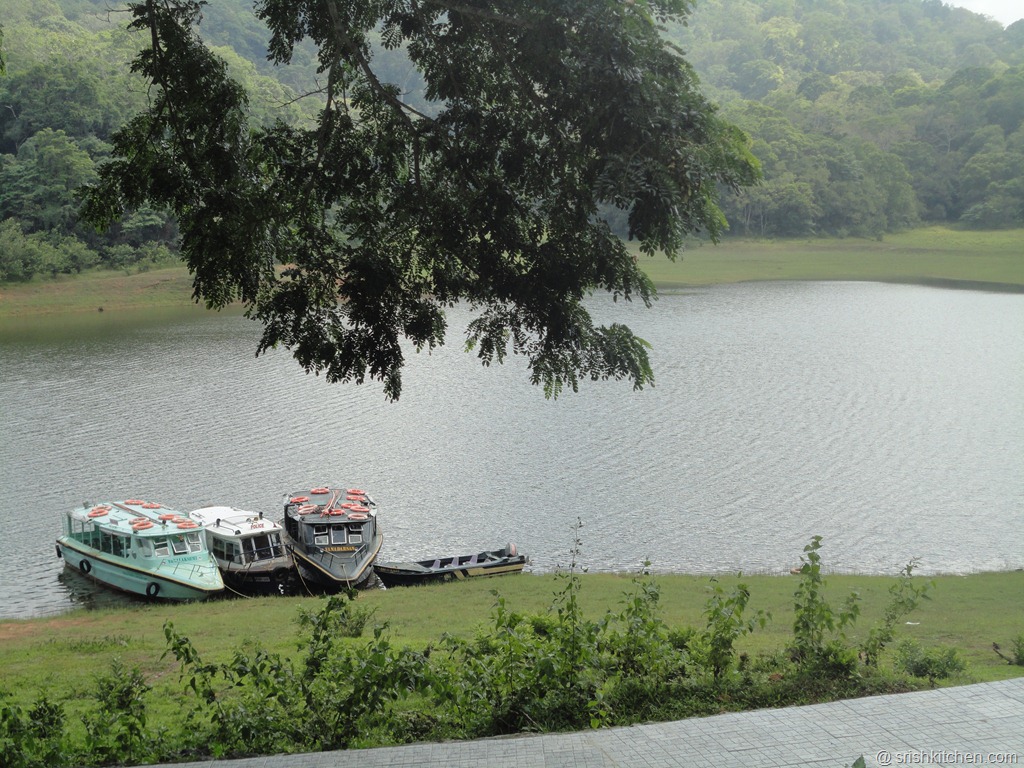 [munnar%2520tour%2520283%255B6%255D.jpg]
