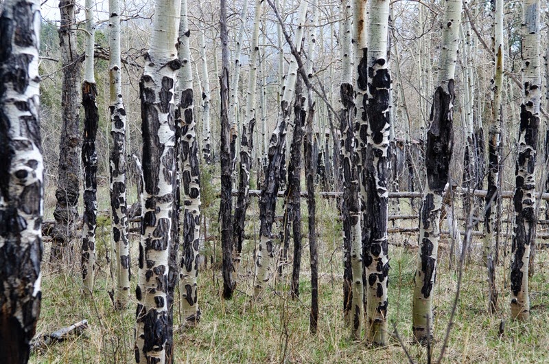 [Monday-Hike-153.jpg]