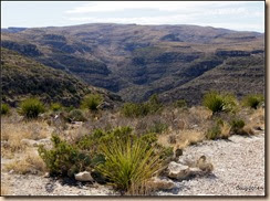 Rattlesnake Canyon