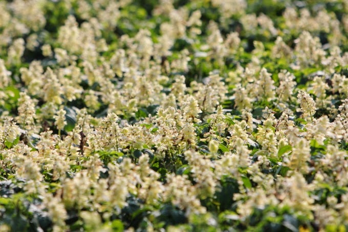 2014_0105_144705 2014_0105_144705