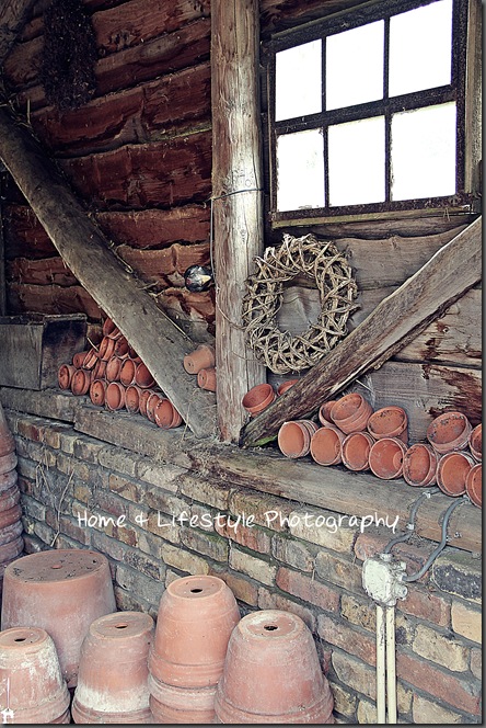 Home & Lifestyle IMG_1226a-1