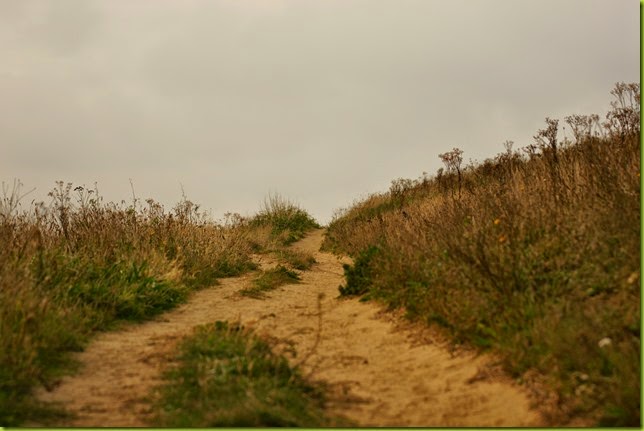 Sheringham to Cromer walk