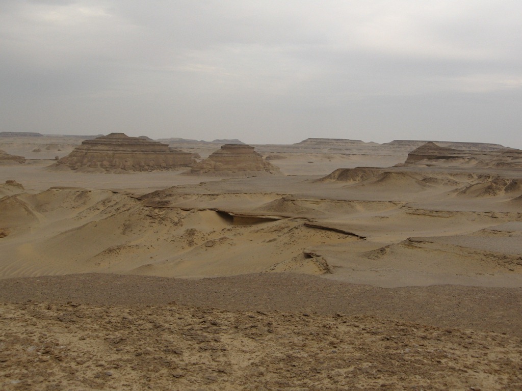[IMG_1903%255B3%255D.jpg]