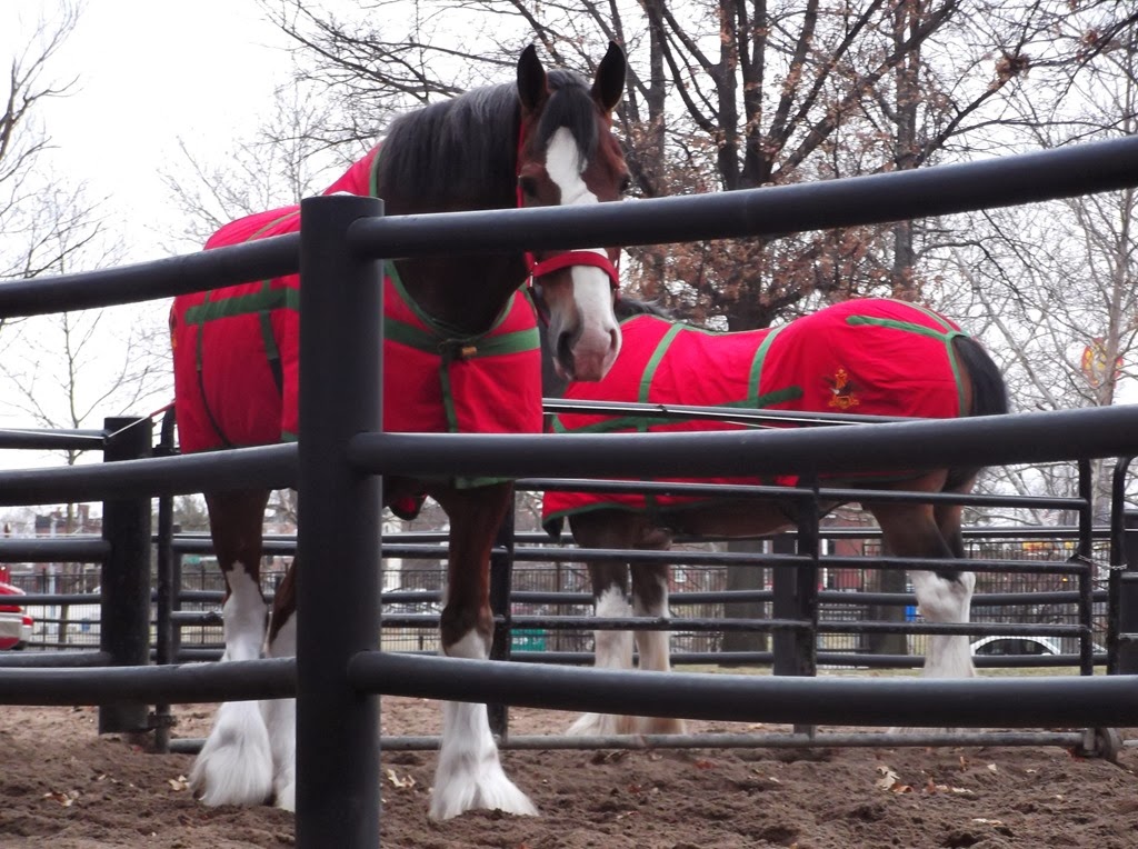 [DSCF0056%255B6%255D.jpg]