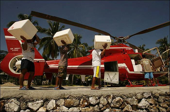 Image Dimension: 700x464 :: The making of Golden Pearl on the island of Palawan in southwestern Philippines The making of Golden Pearl on the island of Palawan in southwestern Philippines