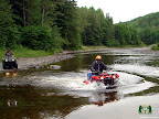 Go wild... you want to! Go wild... you want to!