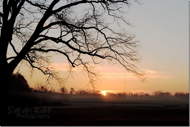 fog-at-dawn