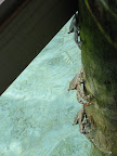 Villa 22 Soneva Gili  - 076.jpg