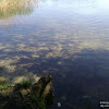dsc02971.jpg