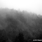 IMG_6152.jpg