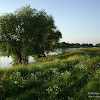 za rz.Odrą są już Niemcy... dsc05720.jpg